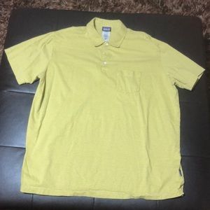 Patagonia stripe polo